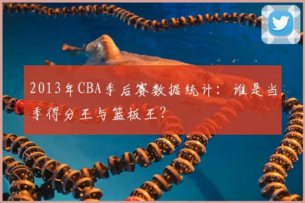 2013年CBA季后赛数据统计：谁是当季得分王与篮板王？