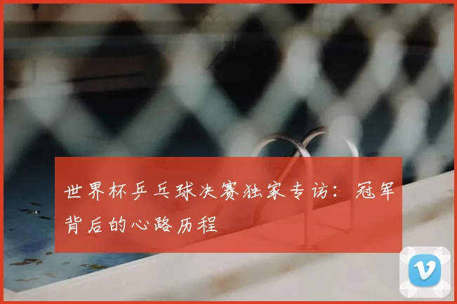 世界杯乒乓球决赛独家专访:冠军背后的心路历程