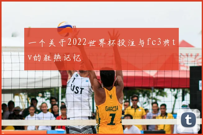 一个关于2022世界杯投注与fc3典tv的狂热记忆