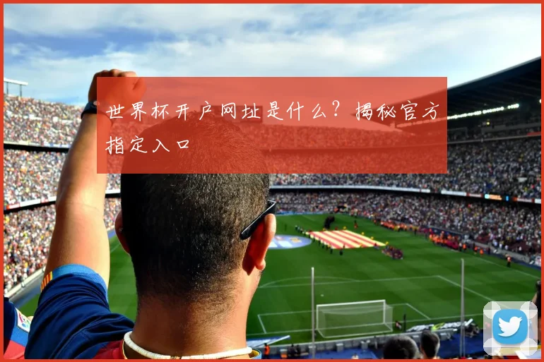 世界杯开户网址是什么？揭秘官方指定入口