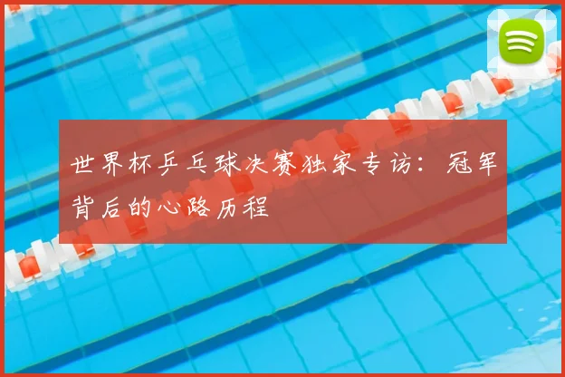 世界杯乒乓球决赛独家专访:冠军背后的心路历程